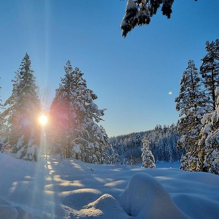 Ro I Sjelen. Hytte Til Leie Pa Skrim. Kongsberg Zewnętrze zdjęcie