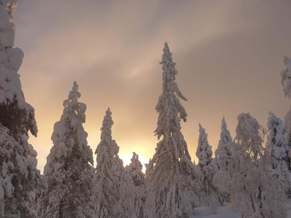 Ro I Sjelen. Hytte Til Leie Pa Skrim. Kongsberg Zewnętrze zdjęcie