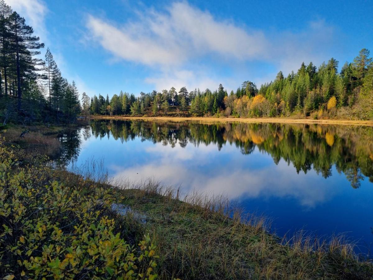 Ro I Sjelen. Hytte Til Leie Pa Skrim. Kongsberg Zewnętrze zdjęcie