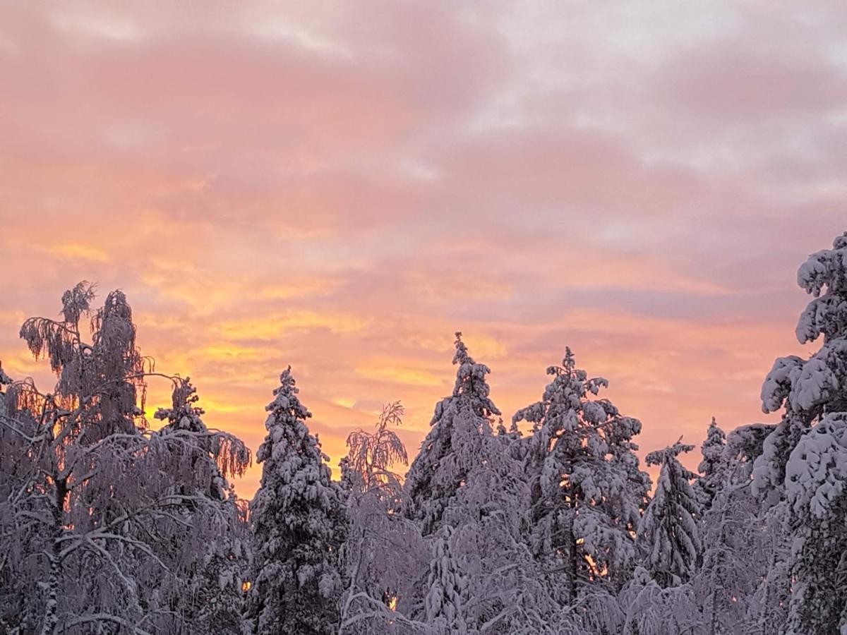 Ro I Sjelen. Hytte Til Leie Pa Skrim. Kongsberg Zewnętrze zdjęcie