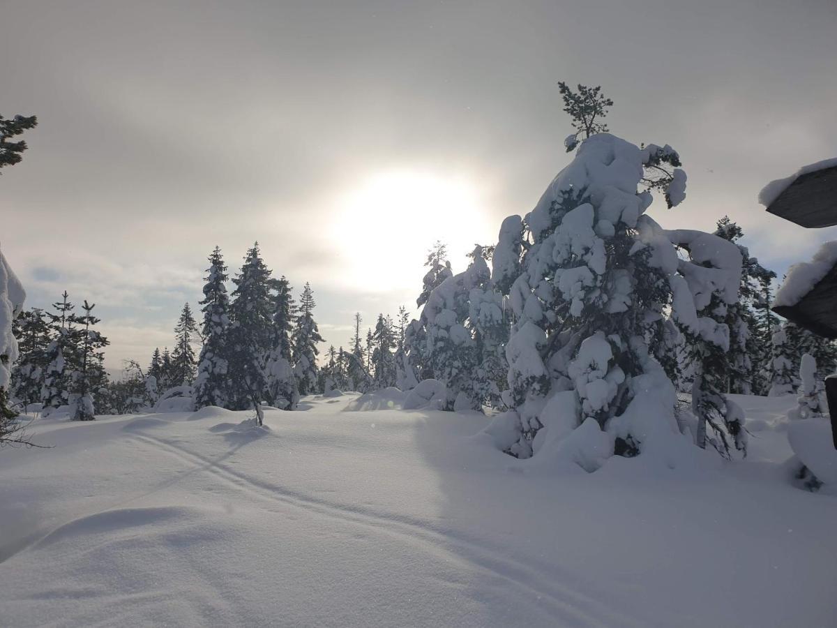 Ro I Sjelen. Hytte Til Leie Pa Skrim. Kongsberg Zewnętrze zdjęcie