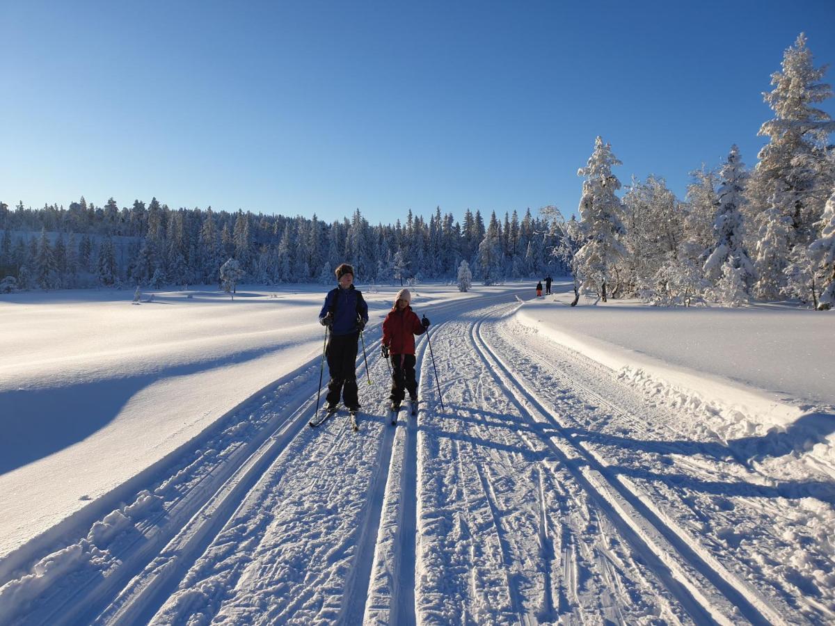 Ro I Sjelen. Hytte Til Leie Pa Skrim. Kongsberg Zewnętrze zdjęcie