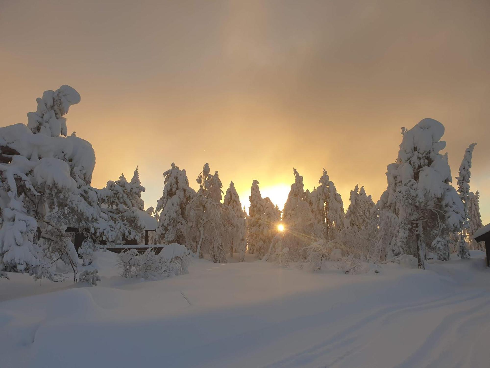 Ro I Sjelen. Hytte Til Leie Pa Skrim. Kongsberg Zewnętrze zdjęcie