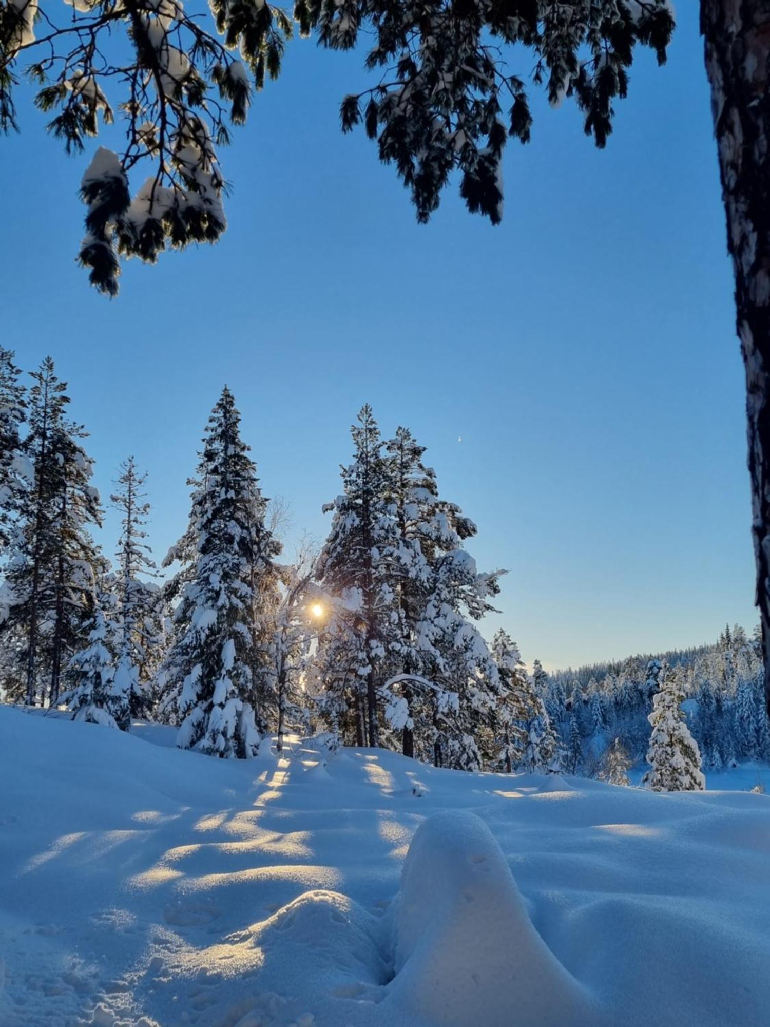 Ro I Sjelen. Hytte Til Leie Pa Skrim. Kongsberg Zewnętrze zdjęcie