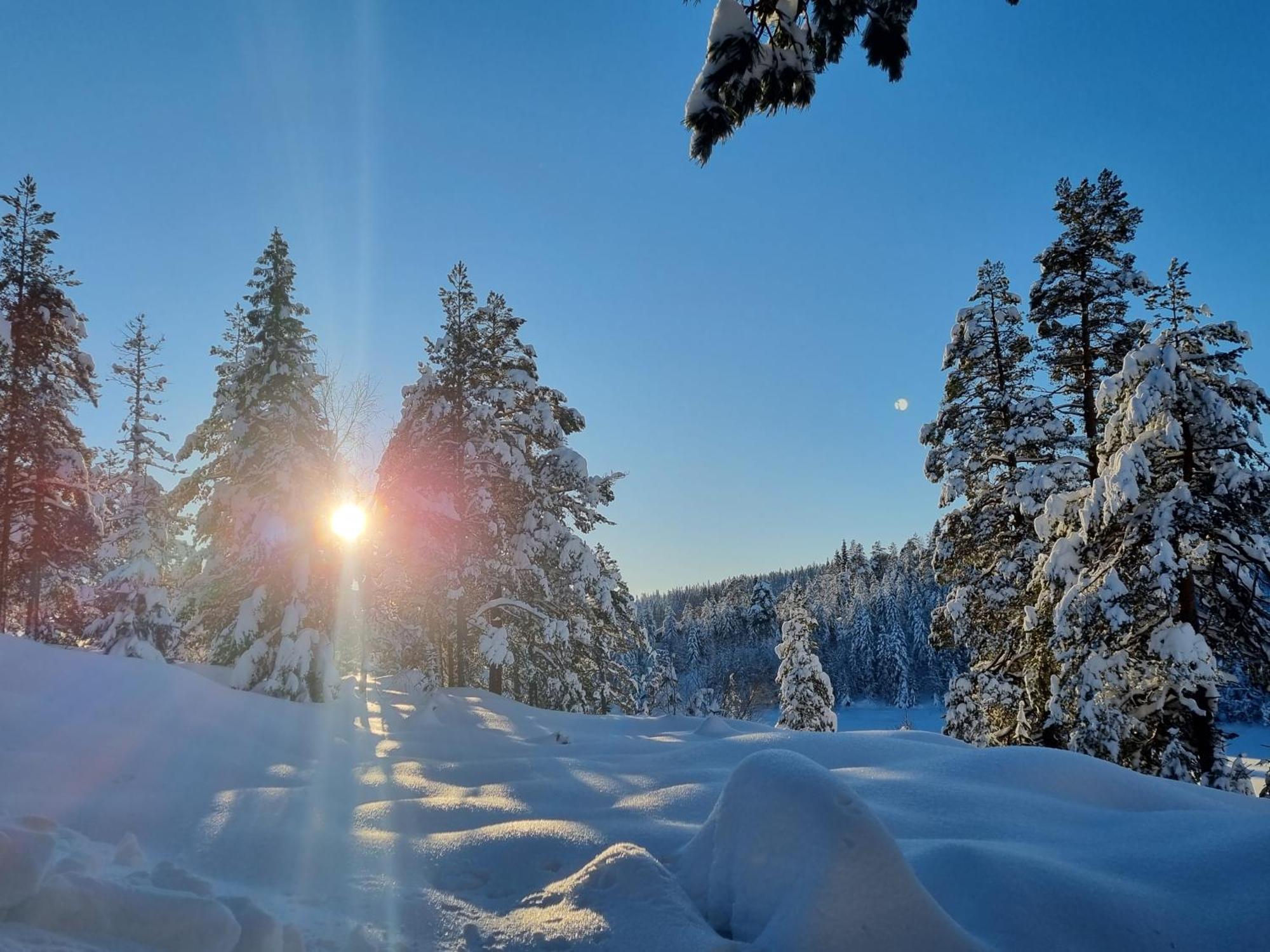 Ro I Sjelen. Hytte Til Leie Pa Skrim. Kongsberg Zewnętrze zdjęcie