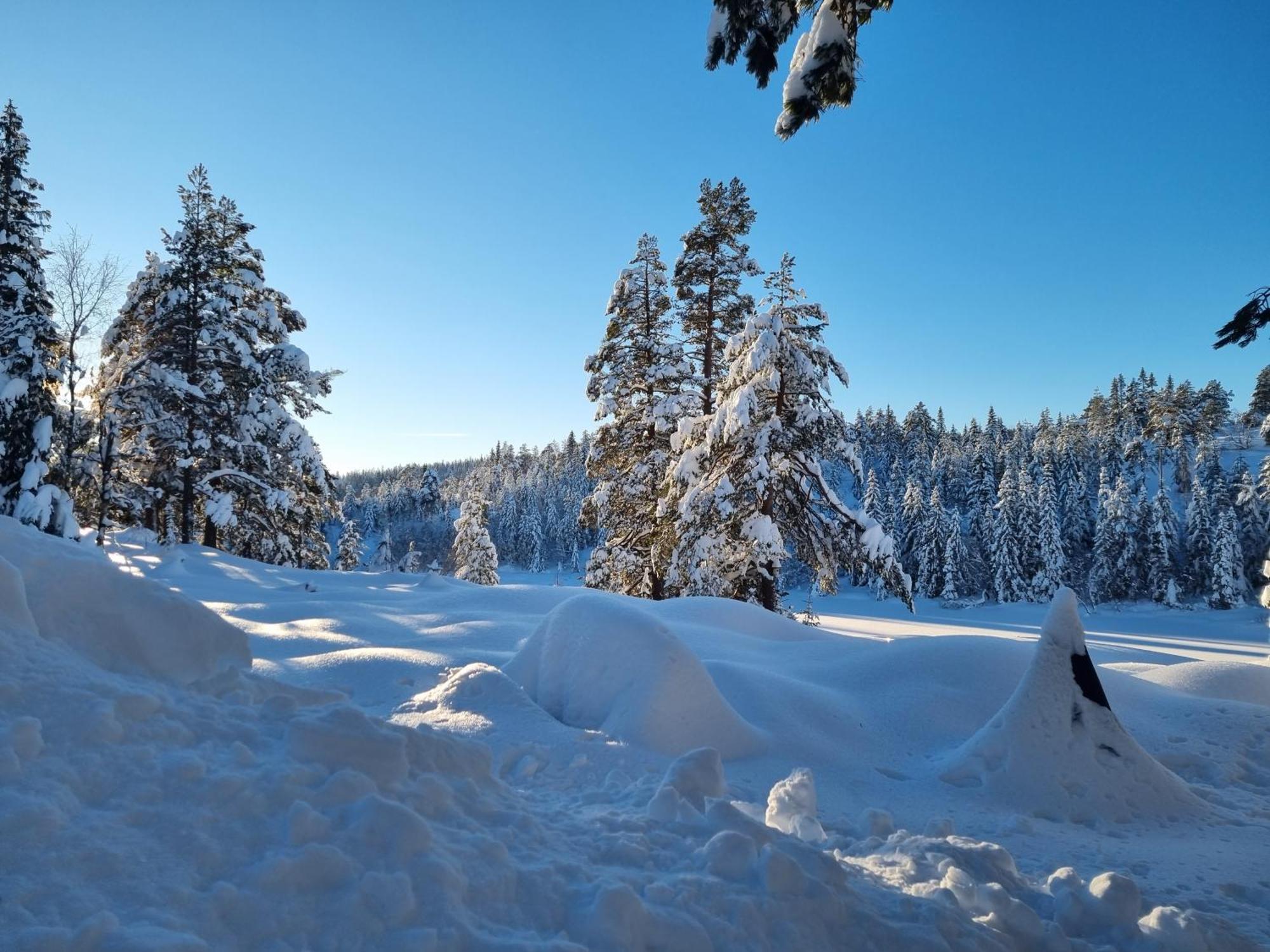 Ro I Sjelen. Hytte Til Leie Pa Skrim. Kongsberg Zewnętrze zdjęcie