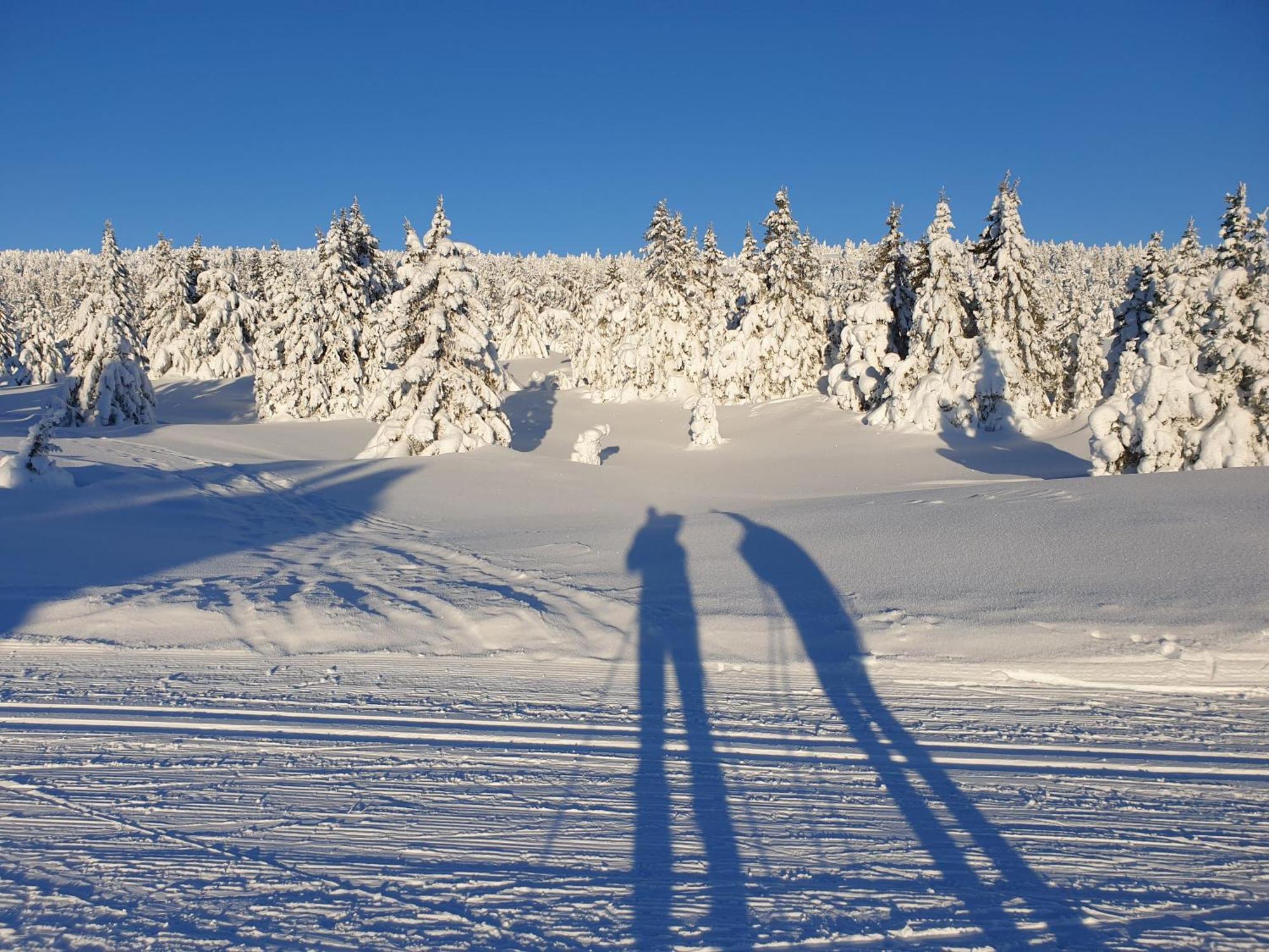 Ro I Sjelen. Hytte Til Leie Pa Skrim. Kongsberg Zewnętrze zdjęcie