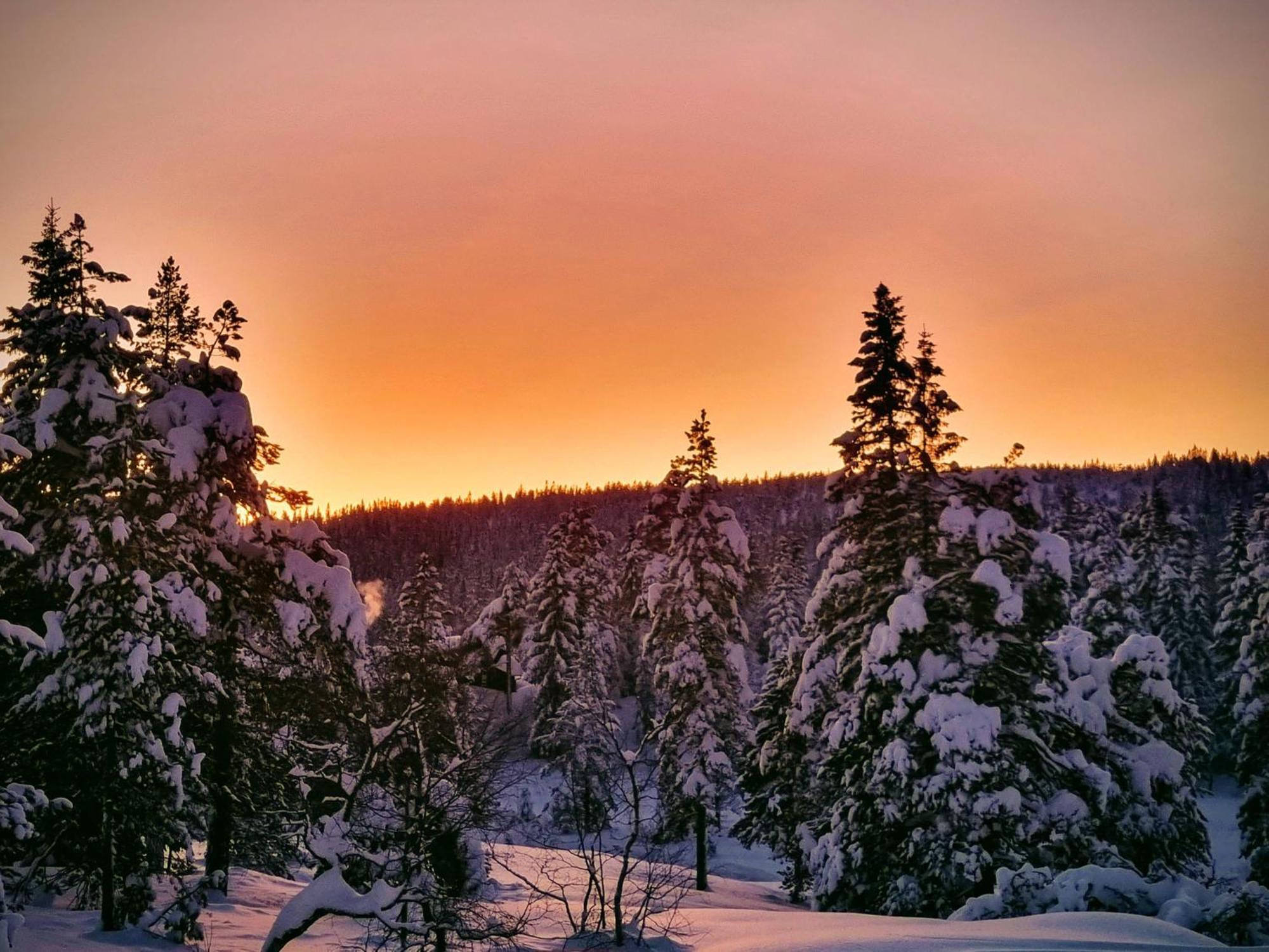 Ro I Sjelen. Hytte Til Leie Pa Skrim. Kongsberg Zewnętrze zdjęcie