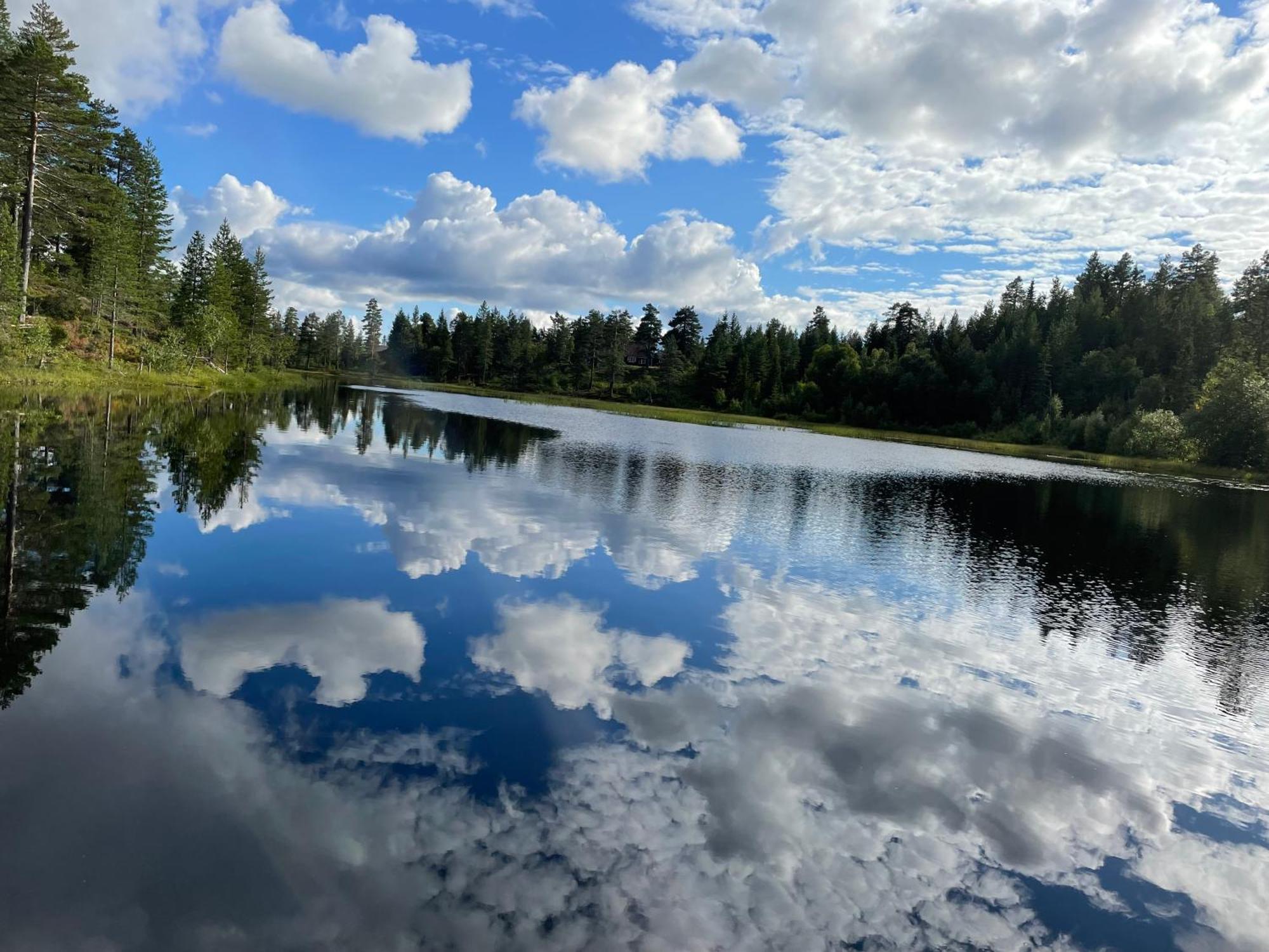 Ro I Sjelen. Hytte Til Leie Pa Skrim. Kongsberg Zewnętrze zdjęcie