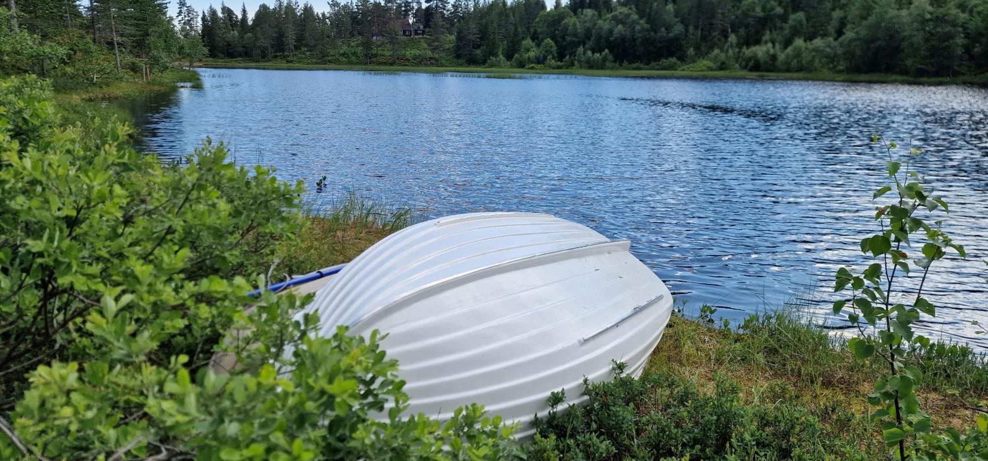 Ro I Sjelen. Hytte Til Leie Pa Skrim. Kongsberg Zewnętrze zdjęcie